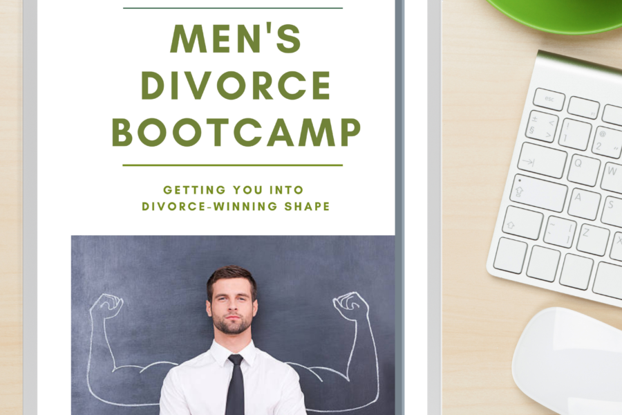 Mens Divorce Book